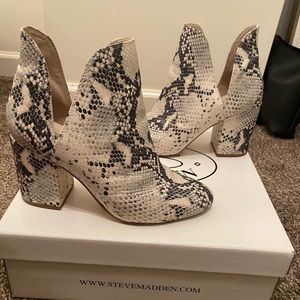 Steve Madden Snake Skin Bootie